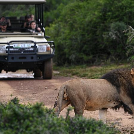 Addo Elephant Safari Lodge - Bellevue Forest Reserve Paterson エクステリア 写真