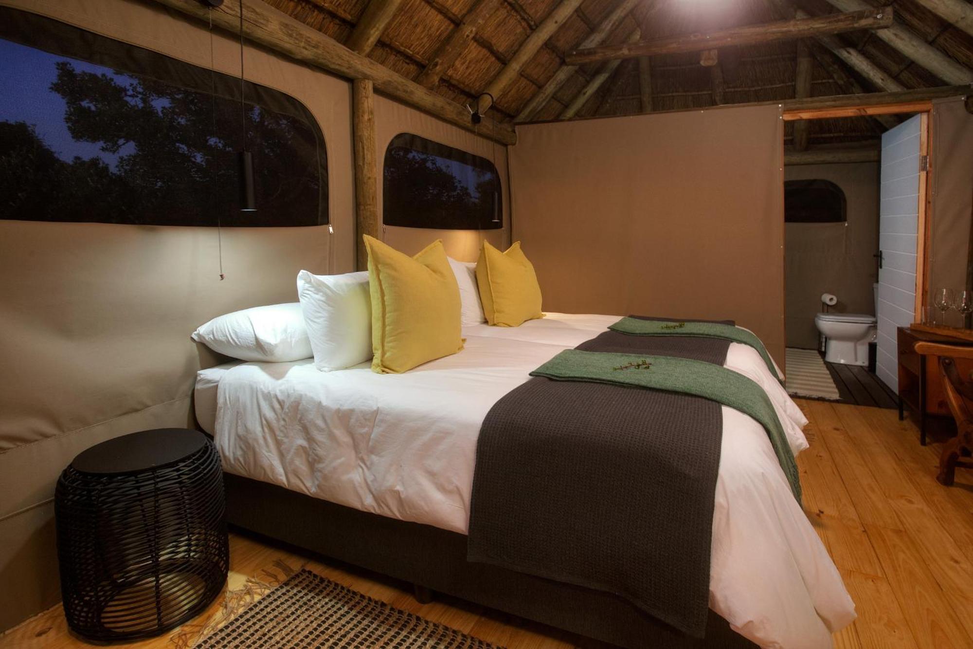 Addo Elephant Safari Lodge - Bellevue Forest Reserve Paterson エクステリア 写真