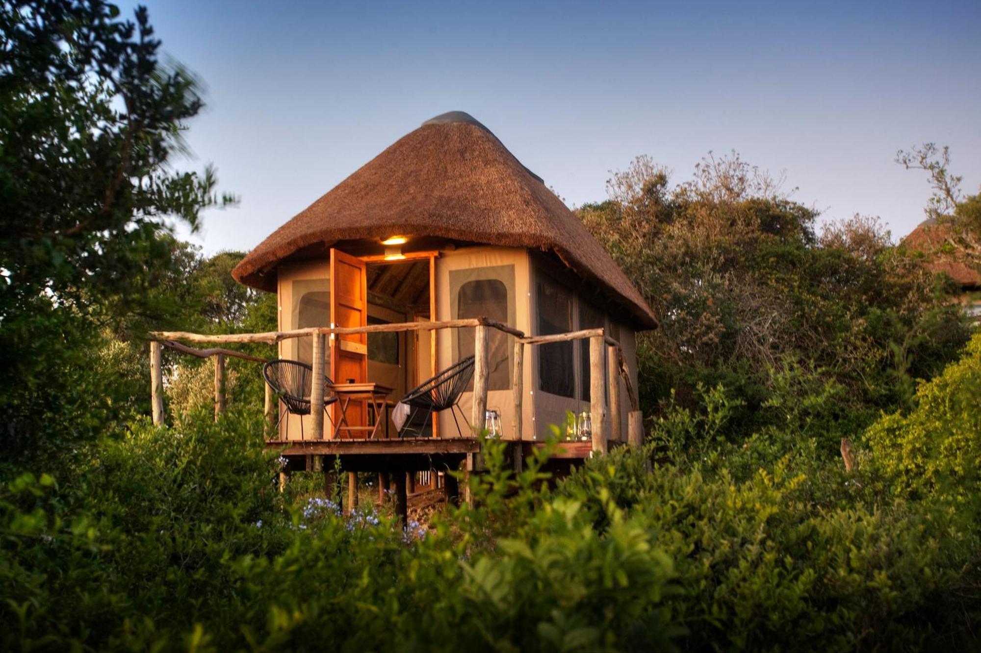 Addo Elephant Safari Lodge - Bellevue Forest Reserve Paterson エクステリア 写真