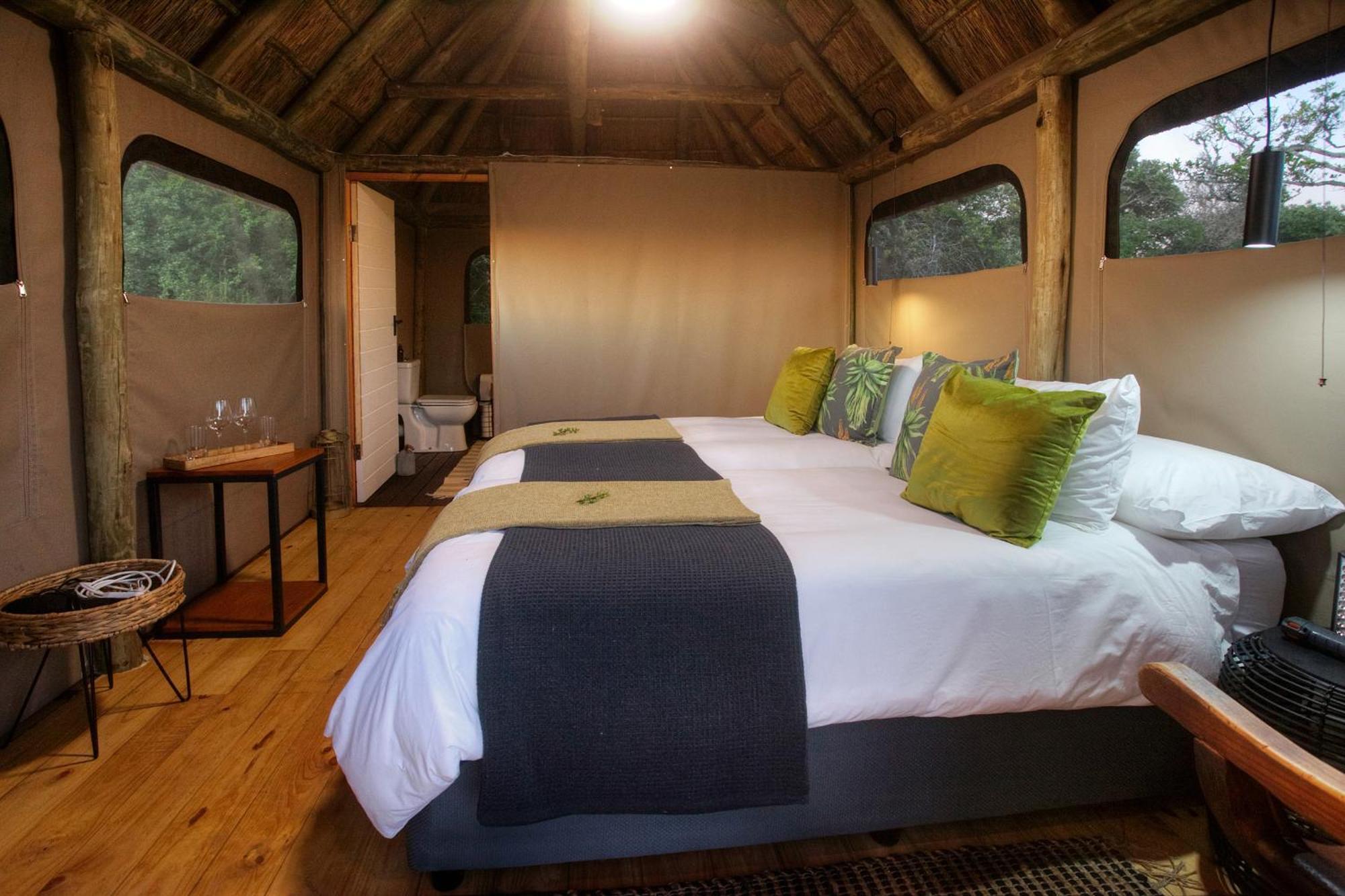 Addo Elephant Safari Lodge - Bellevue Forest Reserve Paterson エクステリア 写真