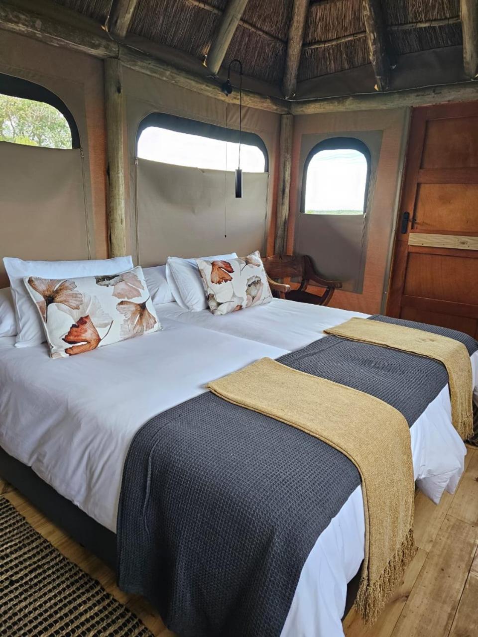Addo Elephant Safari Lodge - Bellevue Forest Reserve Paterson エクステリア 写真