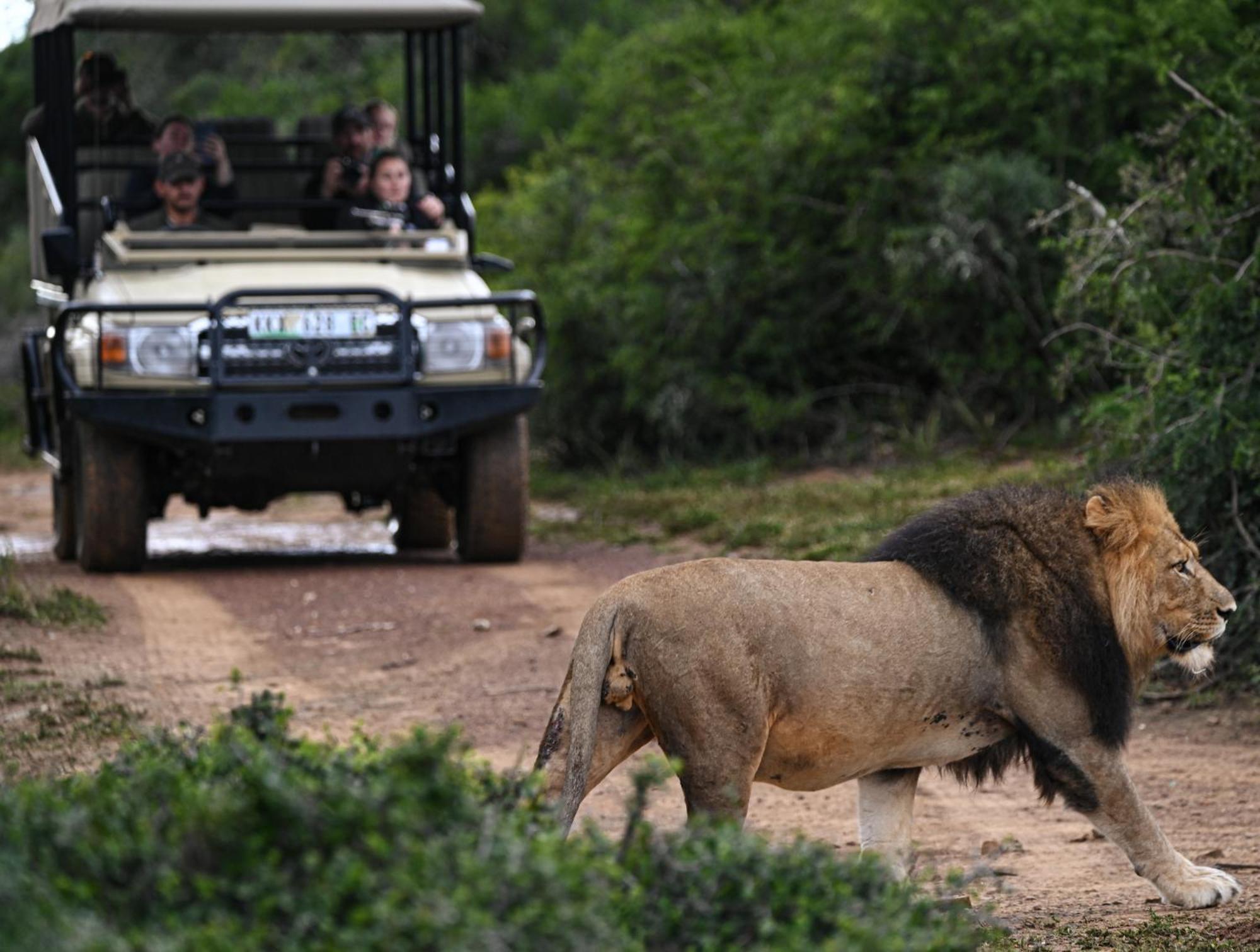 Addo Elephant Safari Lodge - Bellevue Forest Reserve Paterson エクステリア 写真