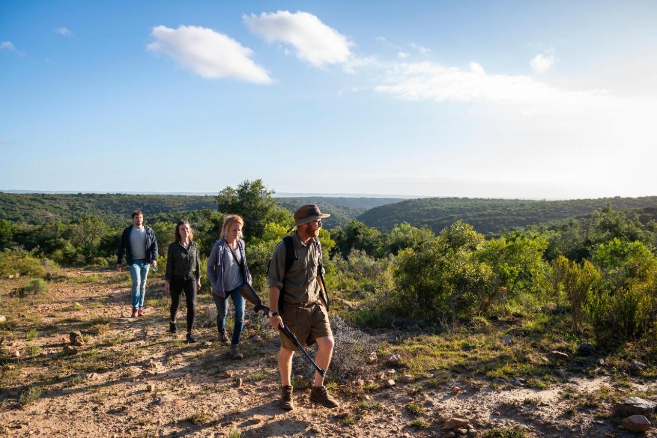Addo Elephant Safari Lodge - Bellevue Forest Reserve Paterson エクステリア 写真