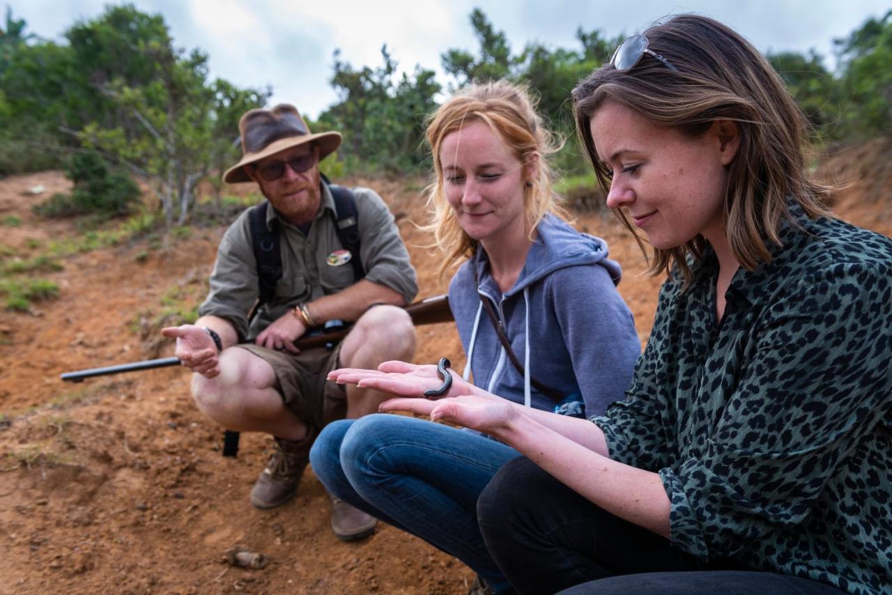 Addo Elephant Safari Lodge - Bellevue Forest Reserve Paterson エクステリア 写真