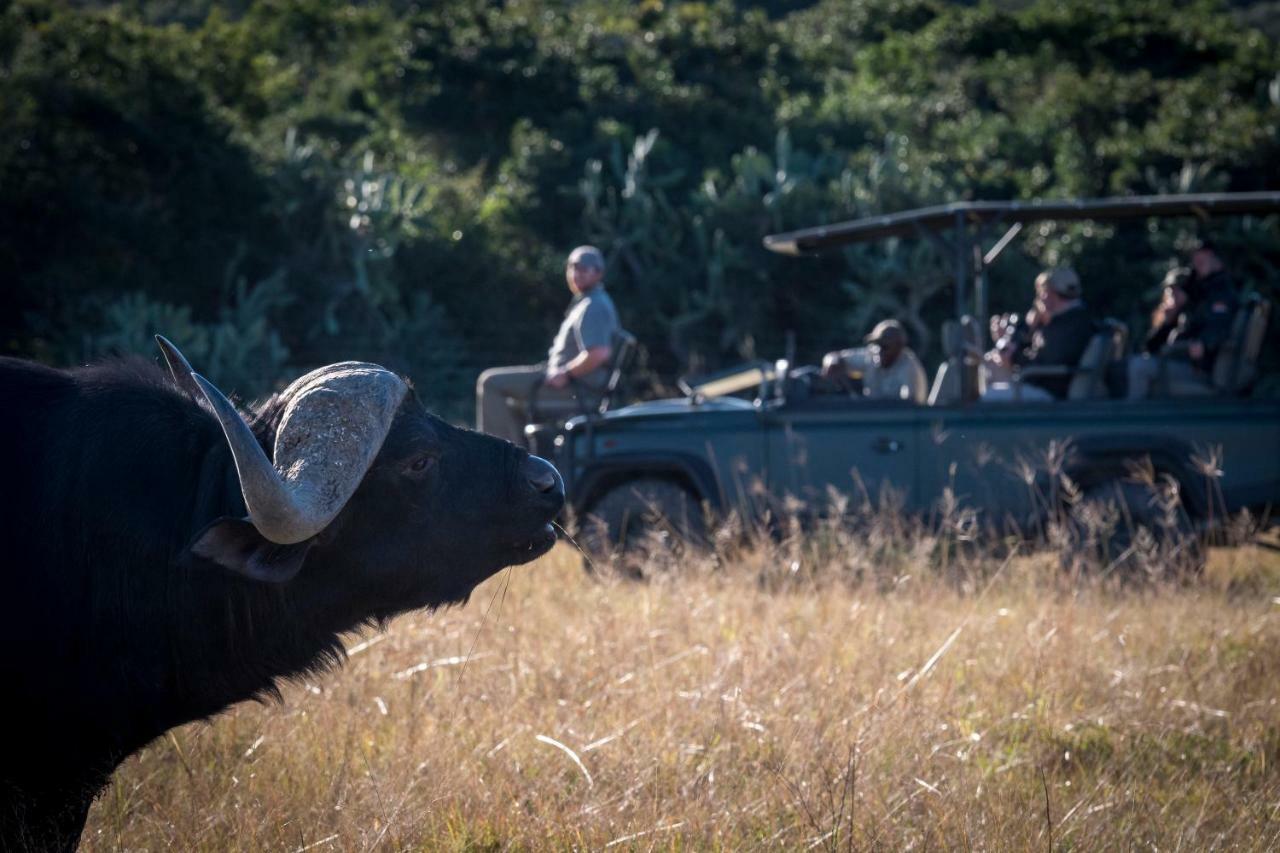 Addo Elephant Safari Lodge - Bellevue Forest Reserve Paterson エクステリア 写真
