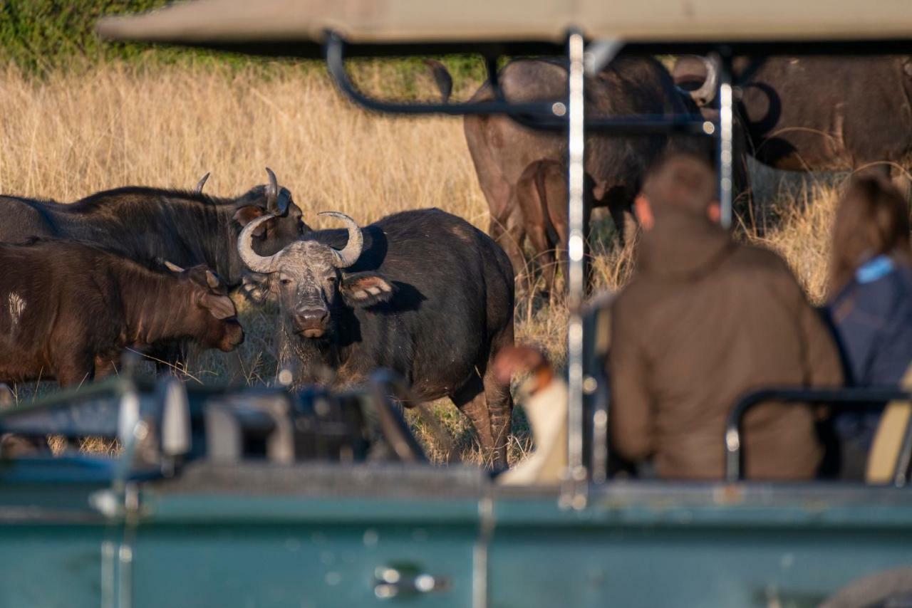 Addo Elephant Safari Lodge - Bellevue Forest Reserve Paterson エクステリア 写真