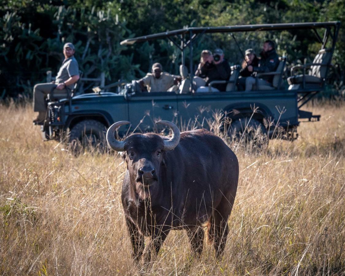 Addo Elephant Safari Lodge - Bellevue Forest Reserve Paterson エクステリア 写真