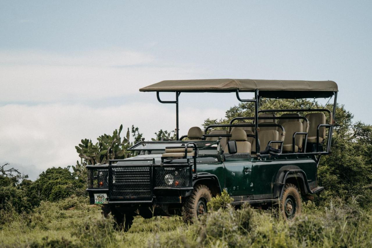 Addo Elephant Safari Lodge - Bellevue Forest Reserve Paterson エクステリア 写真