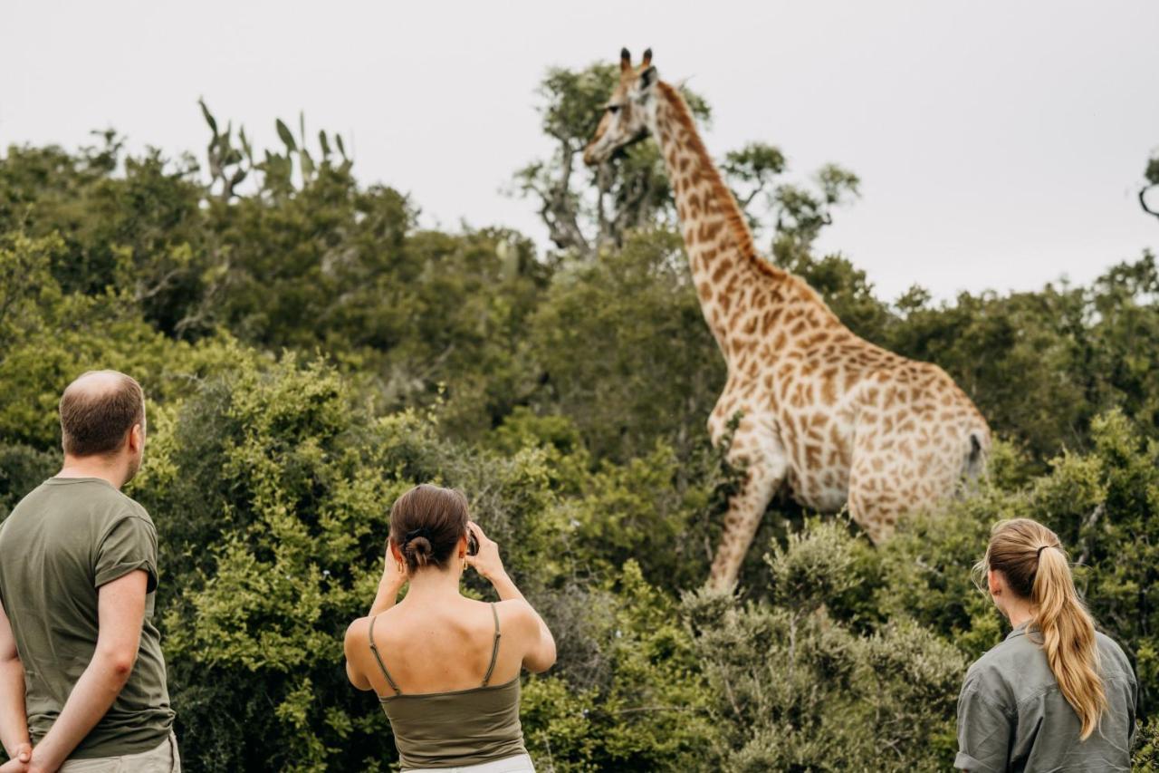 Addo Elephant Safari Lodge - Bellevue Forest Reserve Paterson エクステリア 写真